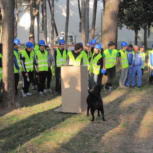 Gallery ricerca persone e esercitazione notturna n. 2 / 79449