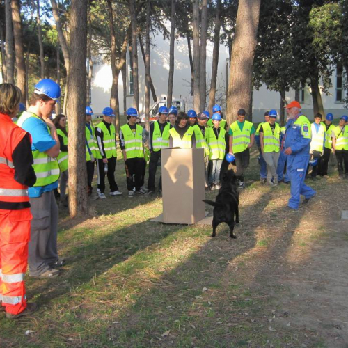 Gallery ricerca persone e esercitazione notturna n. 3 / 79450