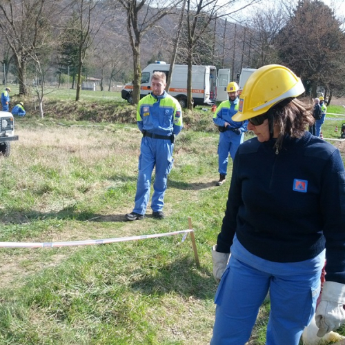 SGLAVINA 2016 / 115919