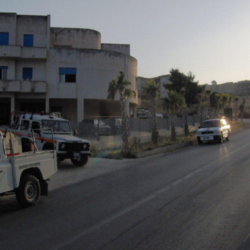 Viaggio f. 15 / 15125