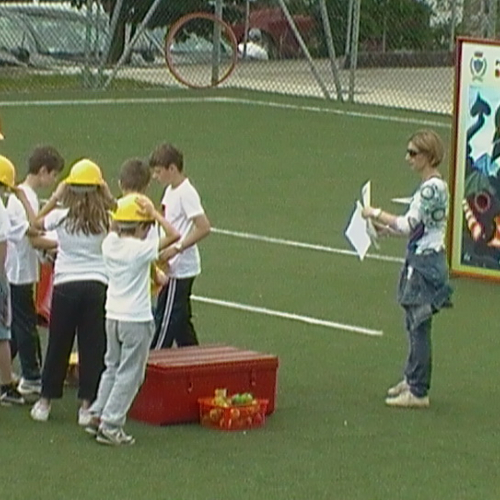 Sicurezza a casa e a scuola n. 22 / 83163