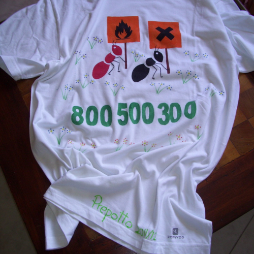 Sicurezza a casa e a scuola n. 38 / 83179