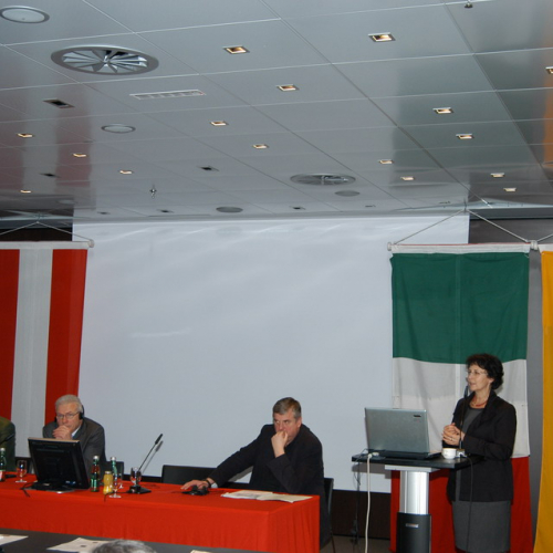 Progetto SISSIE - incontro Villacco n. 8 / 33557