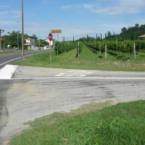 Sito1-01 prima / 23226