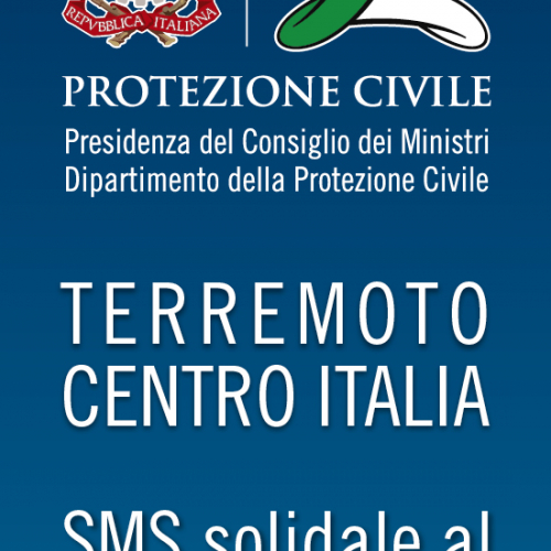 Banner SMS solidale verticale / 116856
