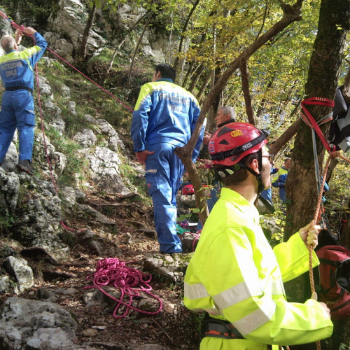 Addestramento 25/10 n. 12 / 44019