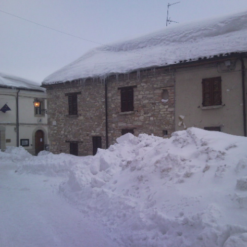 Interventi volontari nelle Marche n. 15 / 75699
