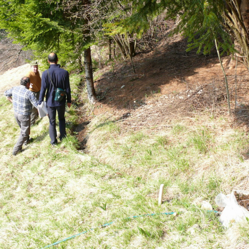 Sopralluogo consegna lavori OPI604 n. 4 / 37736