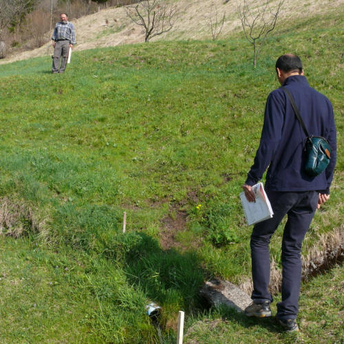 Sopralluogo consegna lavori OPI604 n. 5 / 37737