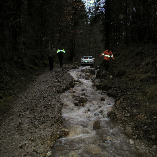 SOPRALLUOGO CHIAMPI' (2).JPG / 45709