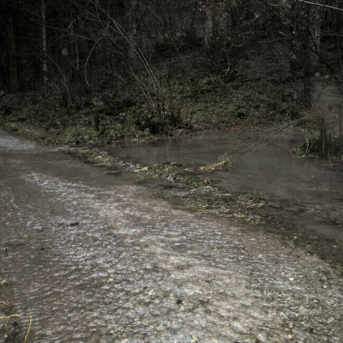 SOPRALLUOGO CHIAMPI' (7).JPG / 45711