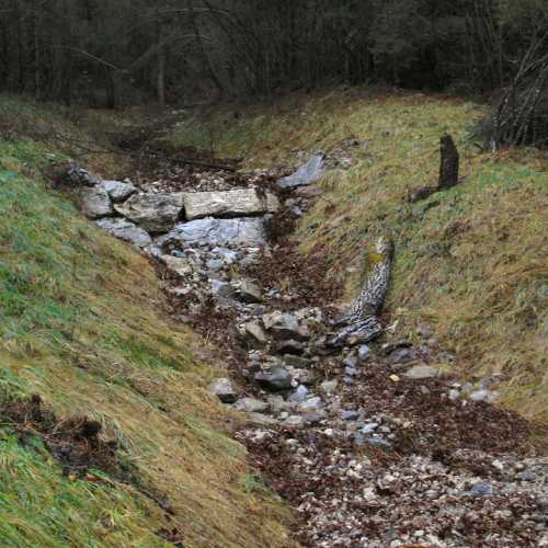 SOPRALLUOGO SORZENT.JPG / 45713