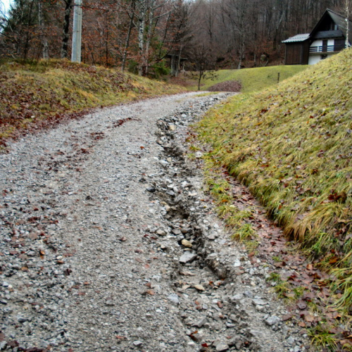 SOPRALLUOGO STRADA SACROVINT CULAU (01).JPG / 45723