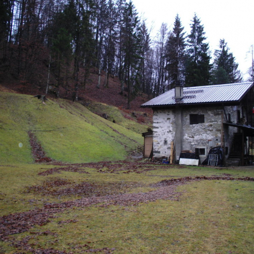 SOPRALLUOGO STRADA SACROVINT CULAU (04).JPG / 45724