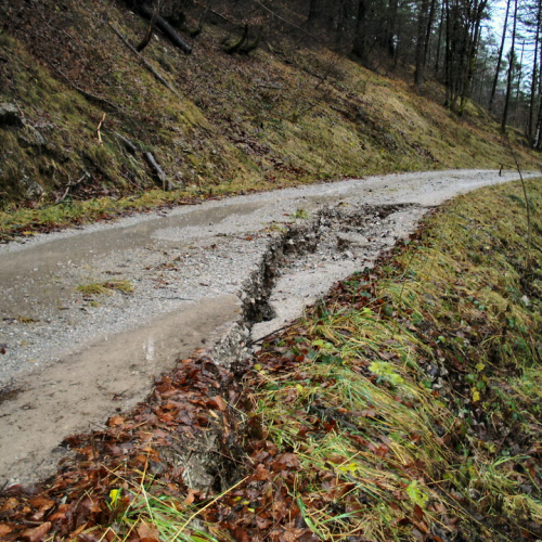 SOPRALLUOGO STRADA SACROVINT CULAU (05).JPG / 45725