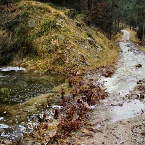 SOPRALLUOGO STRADA SACROVINT CULAU (09).JPG / 45727