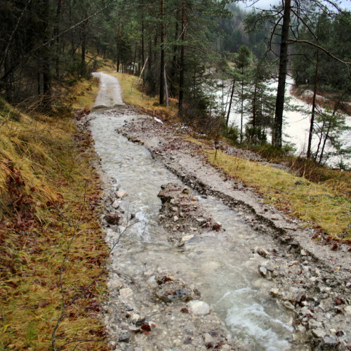 SOPRALLUOGO STRADA SACROVINT CULAU (11).JPG / 45728