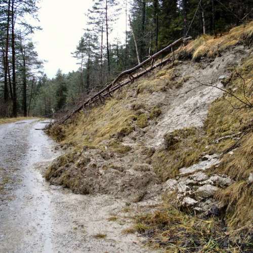 SOPRALLUOGO STRADA SACROVINT CULAU (13).JPG / 45729