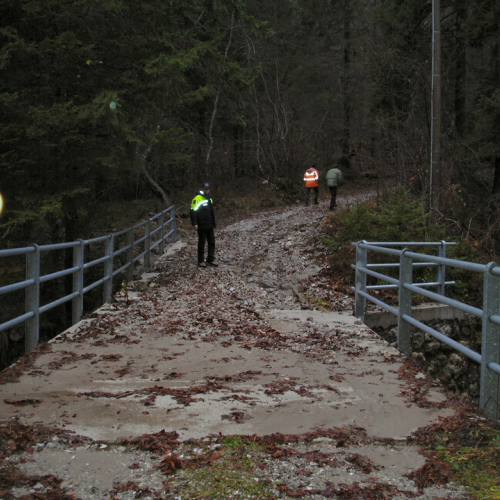 SOPRALLUOGO STRADA VICINO ALLA CHIARADIA A CORDENAVES (1).JPG / 45732