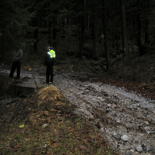 SOPRALLUOGO STRADA VICINO ALLA CHIARADIA A CORDENAVES (4).JPG / 45733