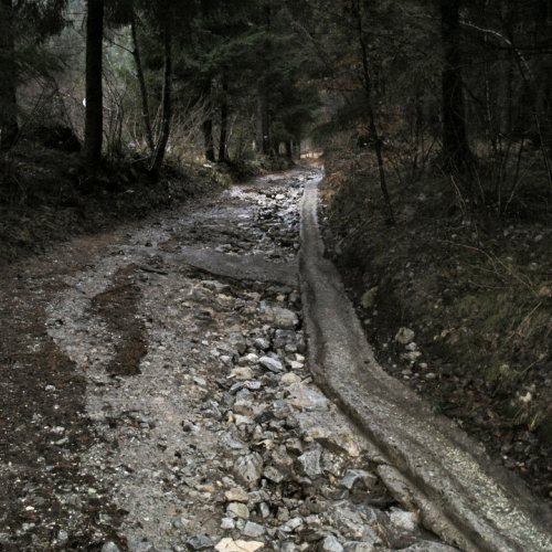 SOPRALLUOGO STRADA VICINO ALLA CHIARADIA A CORDENAVES (7).jpg / 45735