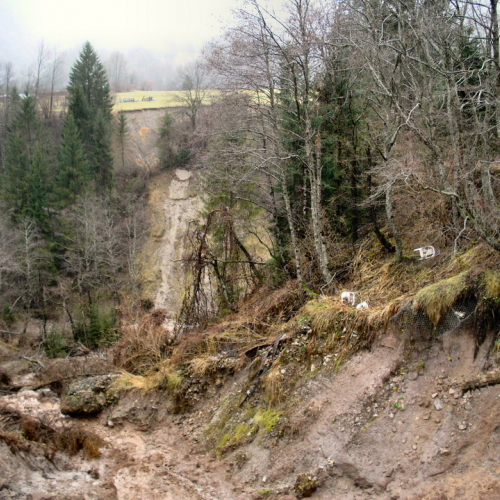 SOPRALLUOGO TAVIELE DI BASELIA (3).JPG / 45737