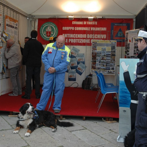 Stand della Protezione civile alla Barcolana n. 23 / 87100