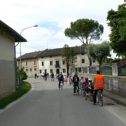 Attivit‡ con le Scuole Gruppo S. Giorgio Richinvelda n. 6 / 108846