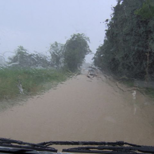 Strada faedis-moimacco.JPG / 14848