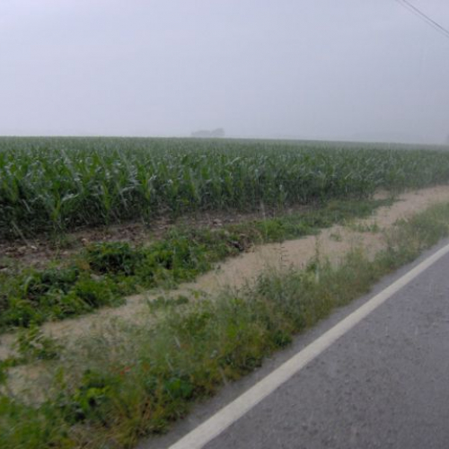 Strada faedis-moimacco 5.JPG / 14846