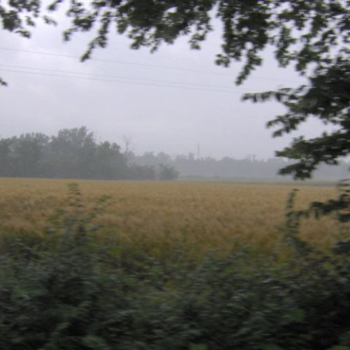 Strada faedis-moimacco 6.JPG / 14847