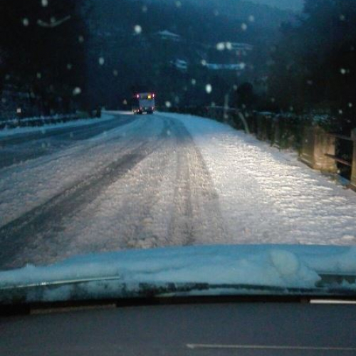 strada per Opicina / 115608