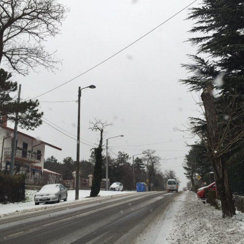 strada Vienna / 115610