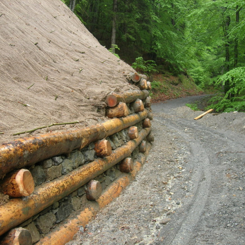 Foto OPI CD/P06/001 n. 8 / 24702