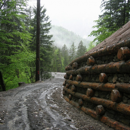 Foto OPI CD/P06/001 n. 10 / 24704