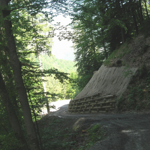 Foto OPI CD/P06/001 n. 12 / 24706