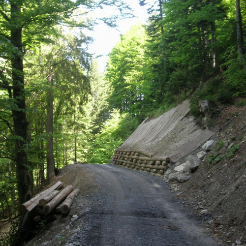 Foto OPI CD/P06/001 n. 13 / 24707