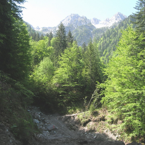 Foto OPI CD/P06/001 n. 14 / 24708