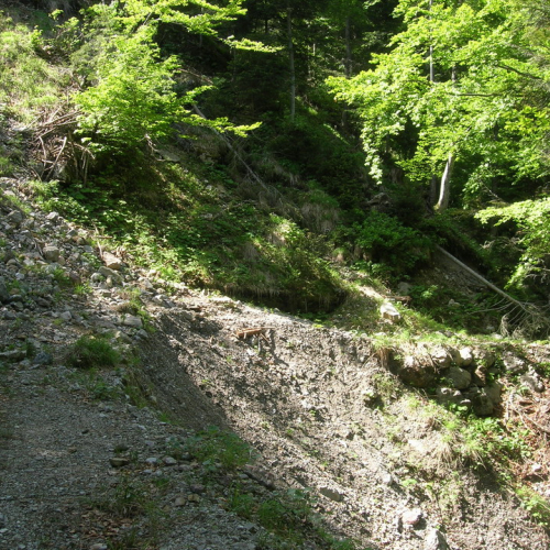 Foto OPI CD/P06/001 n. 16 / 24710