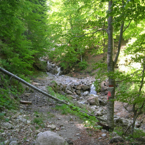 Foto OPI CD/P06/001 n. 17 / 24711