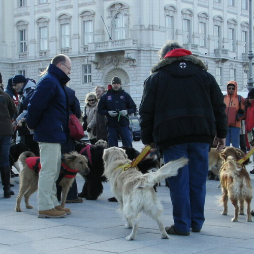 Trieste messa sbacquea 2008 n. 1 / 33752