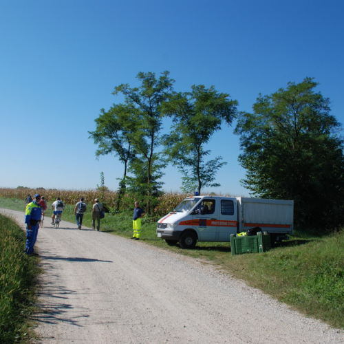 Attivit‡ di supporto del 12/09/2010 n. 23 / 55760