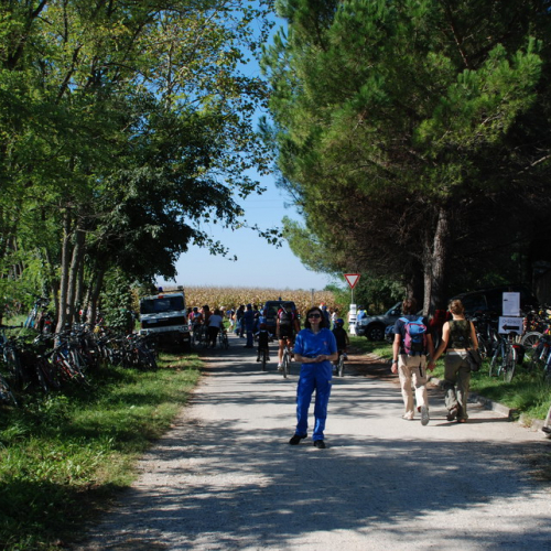 Attivit‡ di supporto del 12/09/2010 n. 27 / 55764