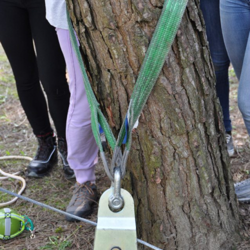 3∞ turno Campi scuola 2013 n. 122 / 94585