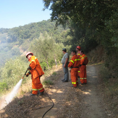 Terzo turno n.3 / 41586