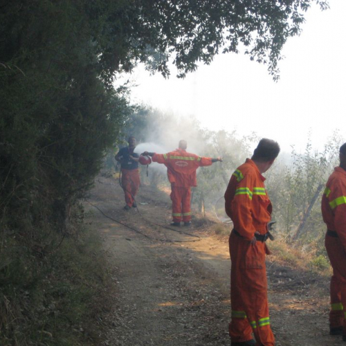 Terzo turno n.4 / 41587