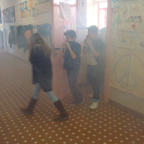 Torreano scuole / 115973
