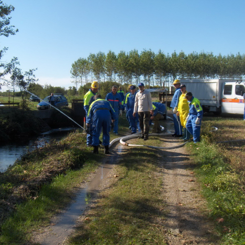 Addestramento Treponti" n. 23""ddestramento "T""d" / 71081