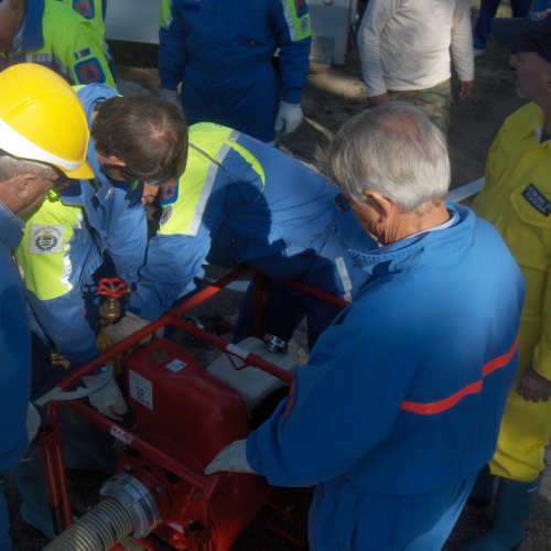 Addestramento Treponti" n. 24""ddestramento "T""d" / 71082