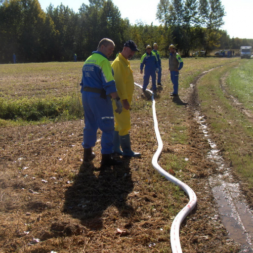 Addestramento Treponti" n. 48""ddestramento "T""d" / 71106